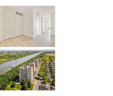 Hermelijnvlinder 95, Vlindertuin, 1113LC, Diemen - Photo 3