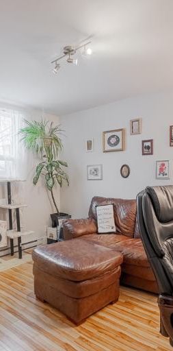 Appartement 3 ½ à louer Montcalm / Saint-Sacrement juillet 2026 - Photo 1