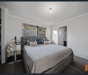 Walk your dog to the beach! - Photo 2