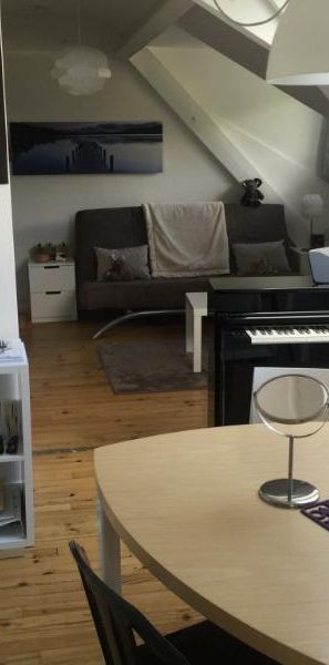 Location Appartement 1 pièce 21m² ST ETIENNE 42000 - Photo 1