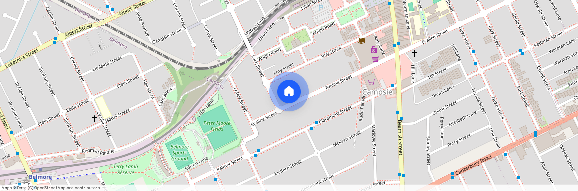 3/113 Evaline Street, Campsie