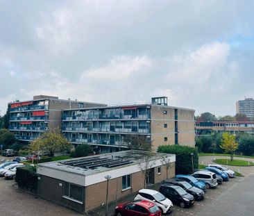 Appartement senior Rietgorsplein, Purmerend - À louer - Photo 5