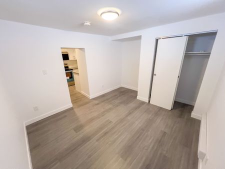 For Lease - 1A LEONARD Avenue Unit# LOWER, Toronto, Ontario - Photo 3