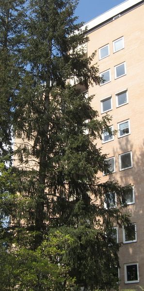 helle 2-Zimmer-Wohnung in Erlangen-Ost, Balkon - Foto 1