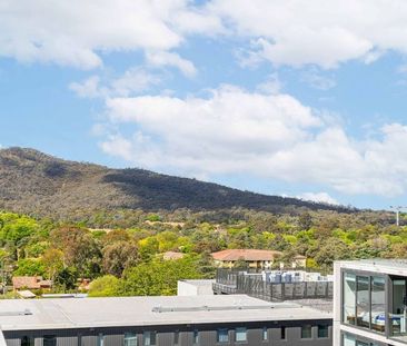 204/65 Cooyong Street, Braddon ACT 2612 - Apartment For Rent | Domain - Photo 5