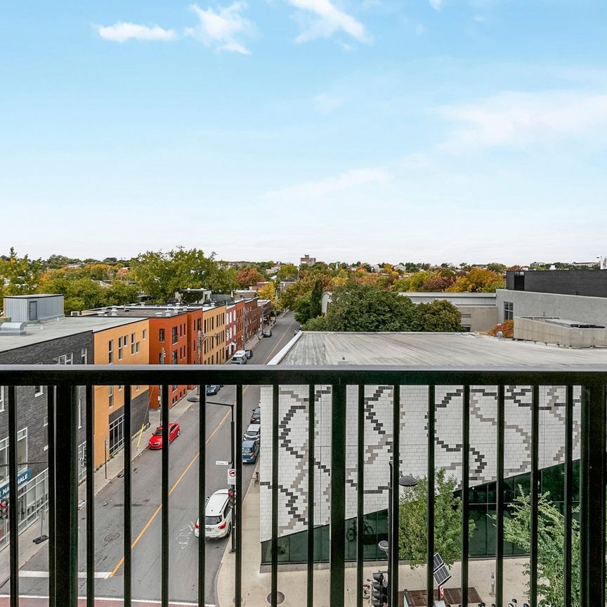 1971 Rue du Havre, Montréal - Photo 1