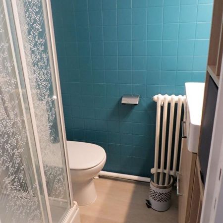 Location Appartement 1 pièce 17m² - Photo 3