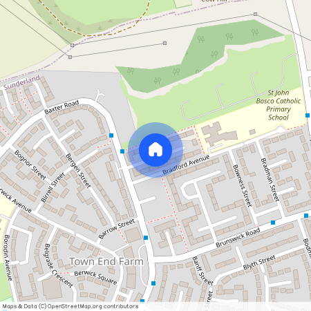 Blaydon Avenue, Sunderland