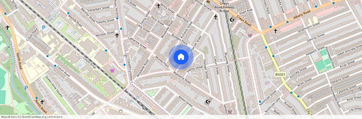 Harriet Street, CF24 4BU, Cathays
