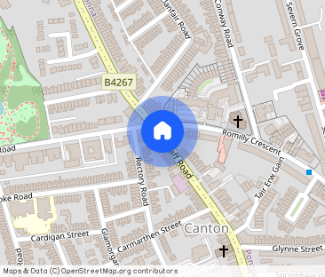 Canton, Cardiff, CF5 - Photo 1