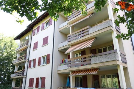 2 ½ PIECES - Au calme et proche des commodités ! - Photo 2