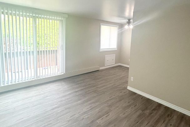 Tillson Apts 2 - ALL INCLUSIVE - Photo 1