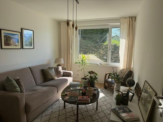 Appartement de 4,5 pièces avec terrasse et jardin - Vue sur le lac - Photo 1