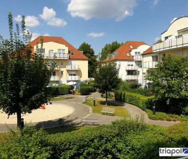 Ruhig gelegene 1-Zimmer-Wohnung mit Balkon in Coswig. - Photo 5