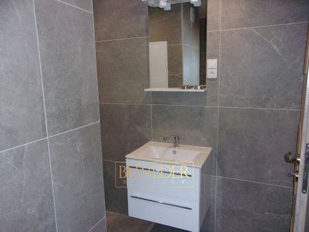 Pronájem bytu 2+kk 38 m², Peškova, Ústí nad Labem - Fotografie 5
