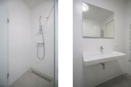 Appartement te huur: Mangoweg 341 2321 HZ Leiden - Foto 4
