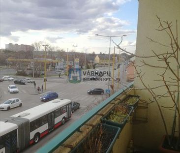 Kiadó jó állapotú lakás - Székesfehérvár - Photo 4