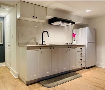 For Lease - 66 Richmond Street Unit# Bsmt, Richmond Hill, Ontario - Photo 3