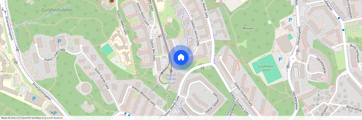 Guldheden, Göteborg, Västra Götaland, Doktor Liborius Gata 38