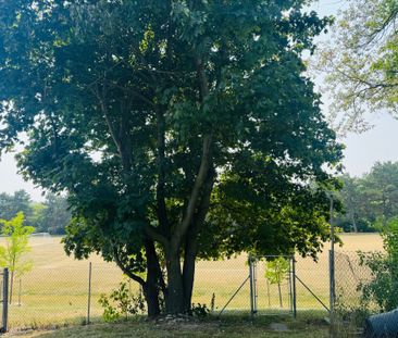 For Lease - 272 Essex (Work Out Basement) Avenue, Richmond Hill, On... - Photo 4