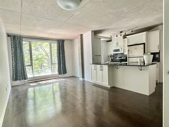 1235 Rue Bishop - Photo 1