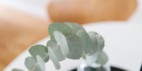 Kettilsgatan 2 - Foto 3