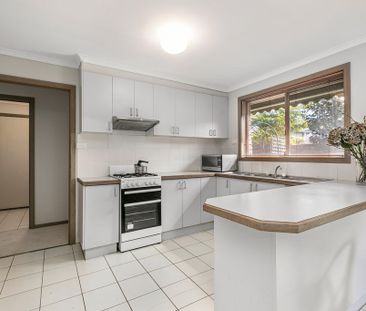 Quiet, Central Unit with North-Facing Yard Near Parks & Transport - Photo 6