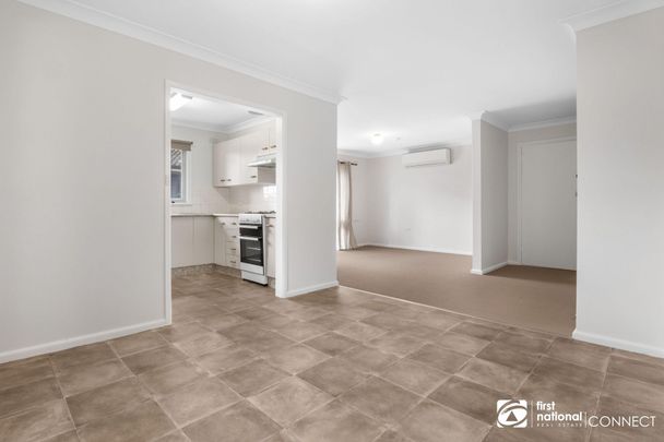 Fresh Carpet & Paint - Photo 1