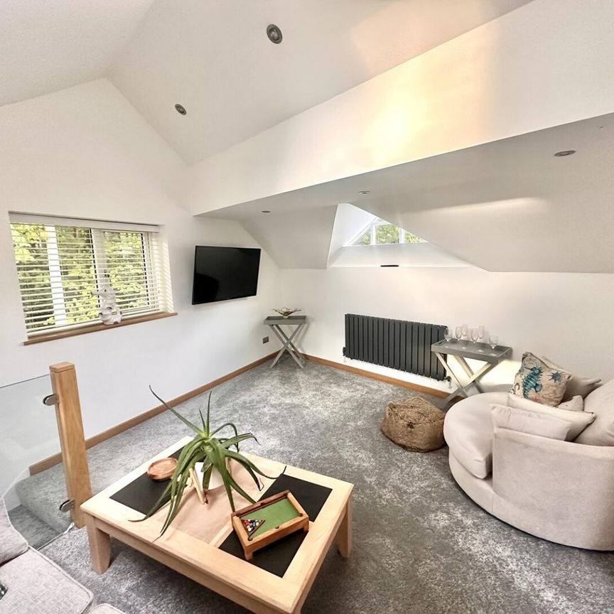 1 bedroom House To Let - Photo 1