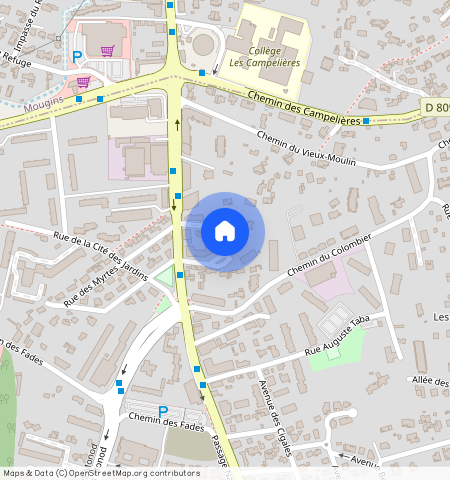 ALPES-MARITIMES (06), - PROVENCE-ALPES-COTE-D-AZUR, LE CANNET (06110)