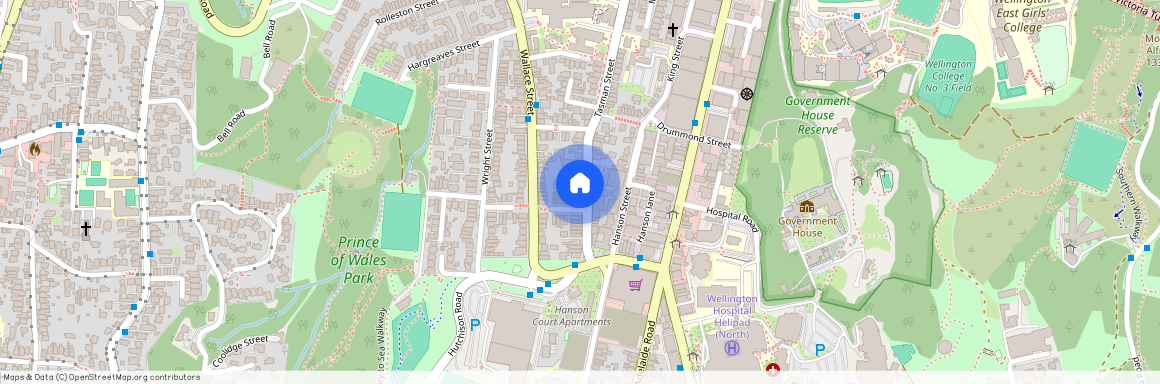 166 Tasman Street, Mount Cook, Wellington