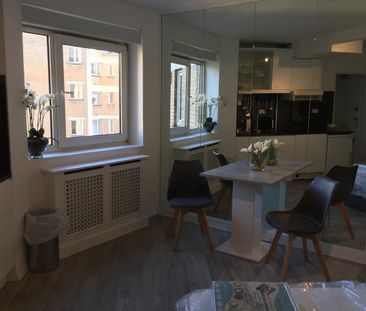 Studio Flat, Sloane Avenue, SW3 - Photo 4