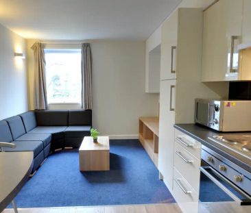 Large Standard Double Studio - Photo 3