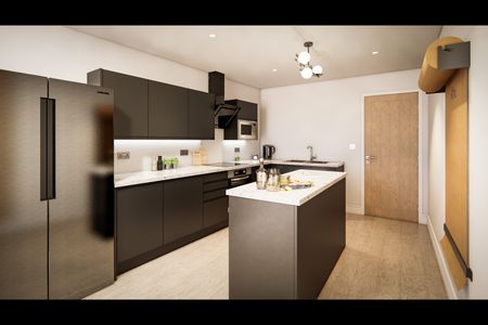 Room in a Shared Flat, Hanley Street, B19 - Photo 5