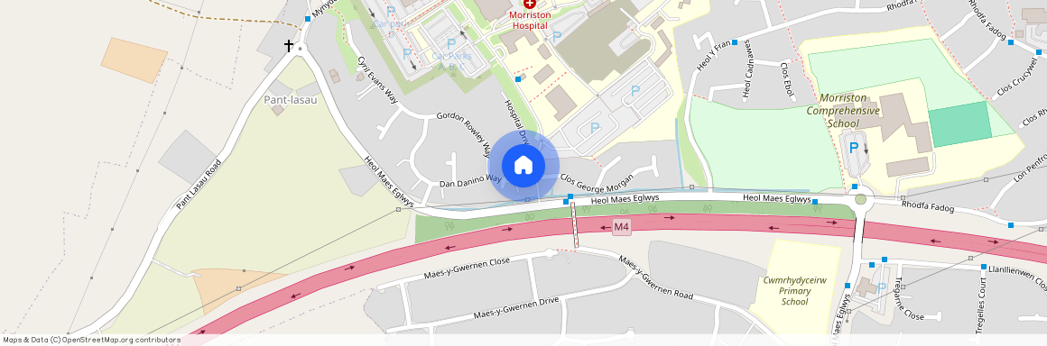 21 Dan Danino Way Morriston Swansea