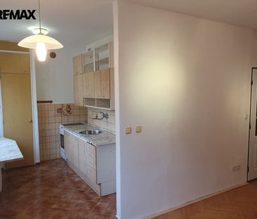 Pronájem bytu 2+1 54 m² - Fotografie 1