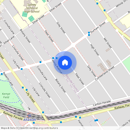 43 Fleet Street, NSW 2218, Carlton