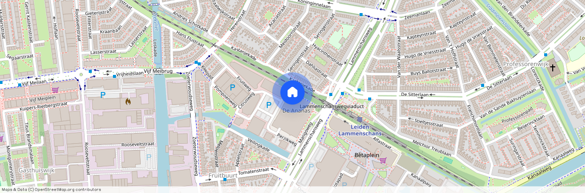 Ananasweg 60, Cronestein, 2321DC, Leiden