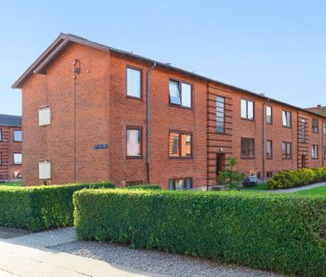 Afd. 2 Fuglebakken 1 - Photo 3