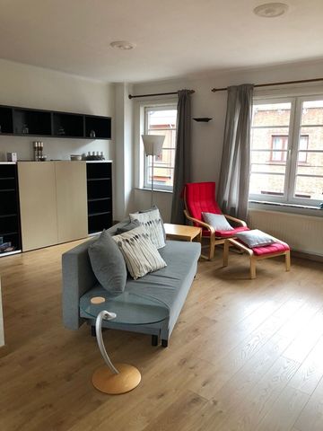 lichtrijke appartement zoekt medehuisgenoot - Foto 4