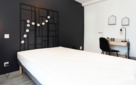 BRAVES Roommate 4 Bedrooms at Toulouse - Photo 5