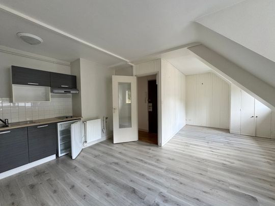 Location Appartement 3 pièces 46m² ORLEANS 45000 - Photo 1