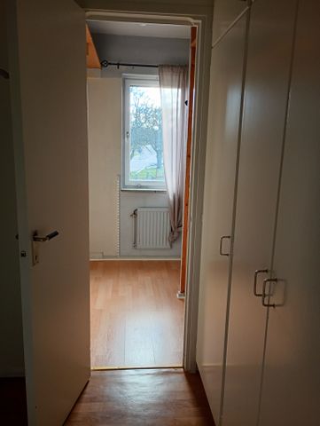 Ekbacken, Asarum - Foto 2