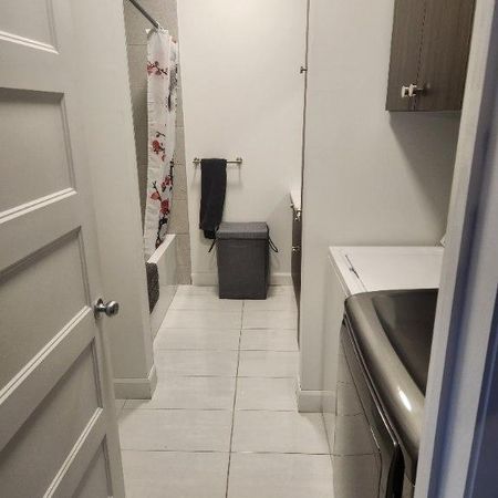 Beau 5 1/2 - Photo 4