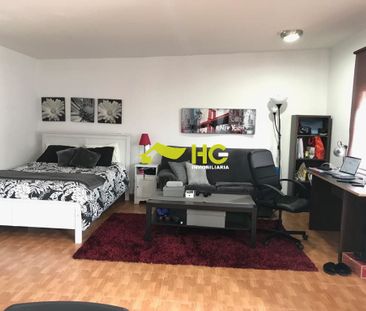 Alquiler Apartamento en Urbanización - El Bosque, Villaviciosa De Odón - Photo 4