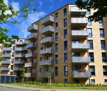 Moderne Wohnung mit Einbauküche, Aufzug und Balkon in Citynähe! - Foto 5