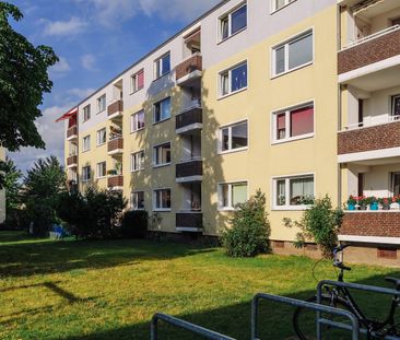 Schöne 3-Zimmer-Wohnung im Erdgeschoss // EG links - Foto 1