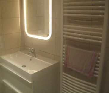 Location appartement 2 pièces - 38.12m² à La buisse (38500) - Photo 2