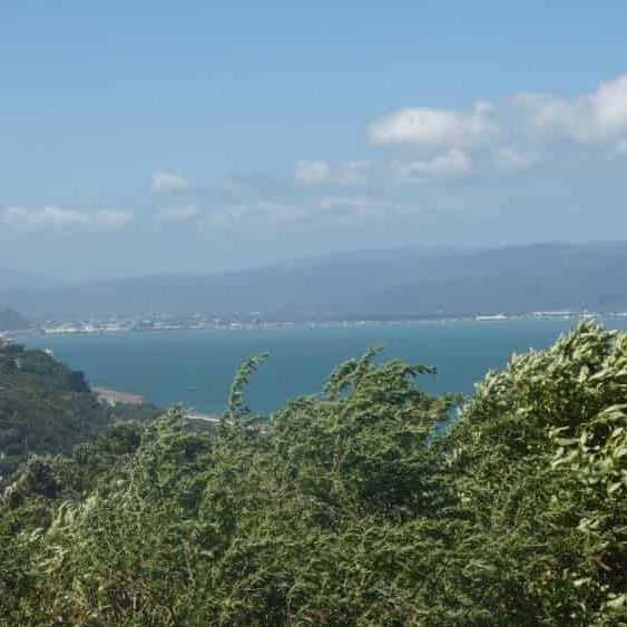 Sunny Studio Flat - Photo 1