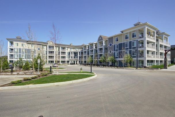 1 Bed + Den Condo For Rent In Auburn Bay W/ Undgr. Parking/ In Suite Laundry! - Photo 1